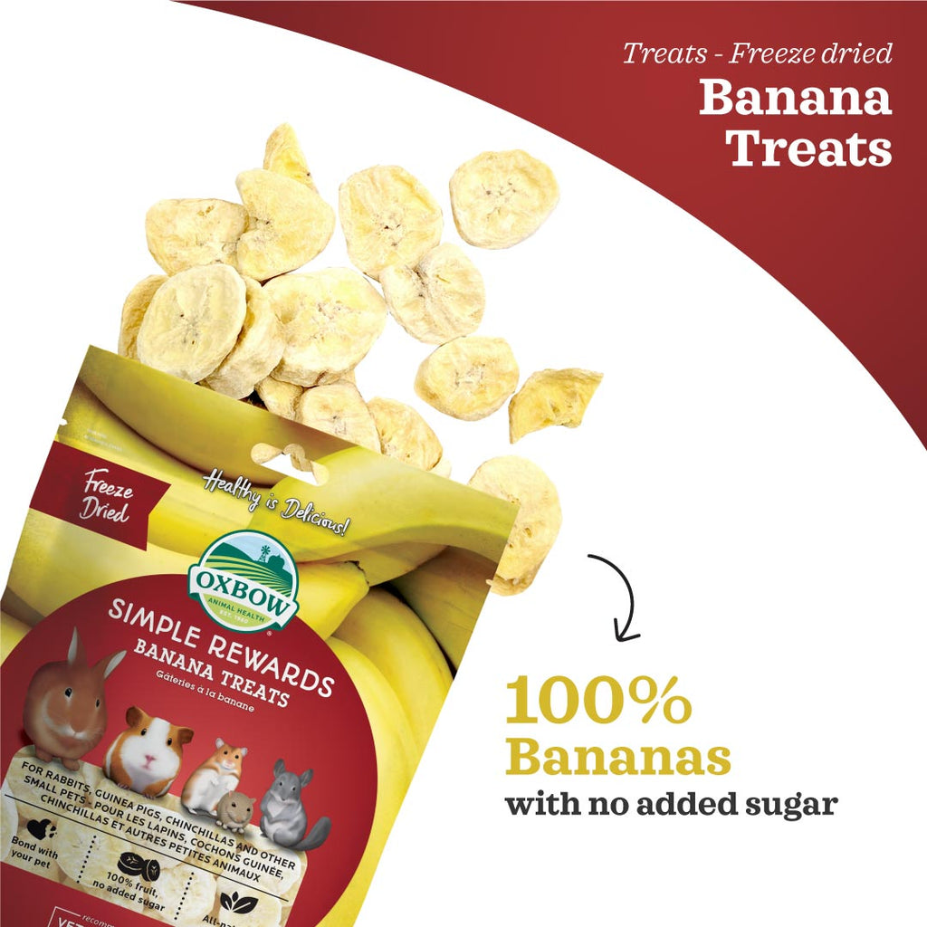Oxbow Simple Rewards Banana Treats