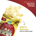 Oxbow Simple Rewards Banana Treats