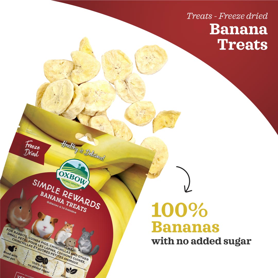 Oxbow Simple Rewards Banana Treats