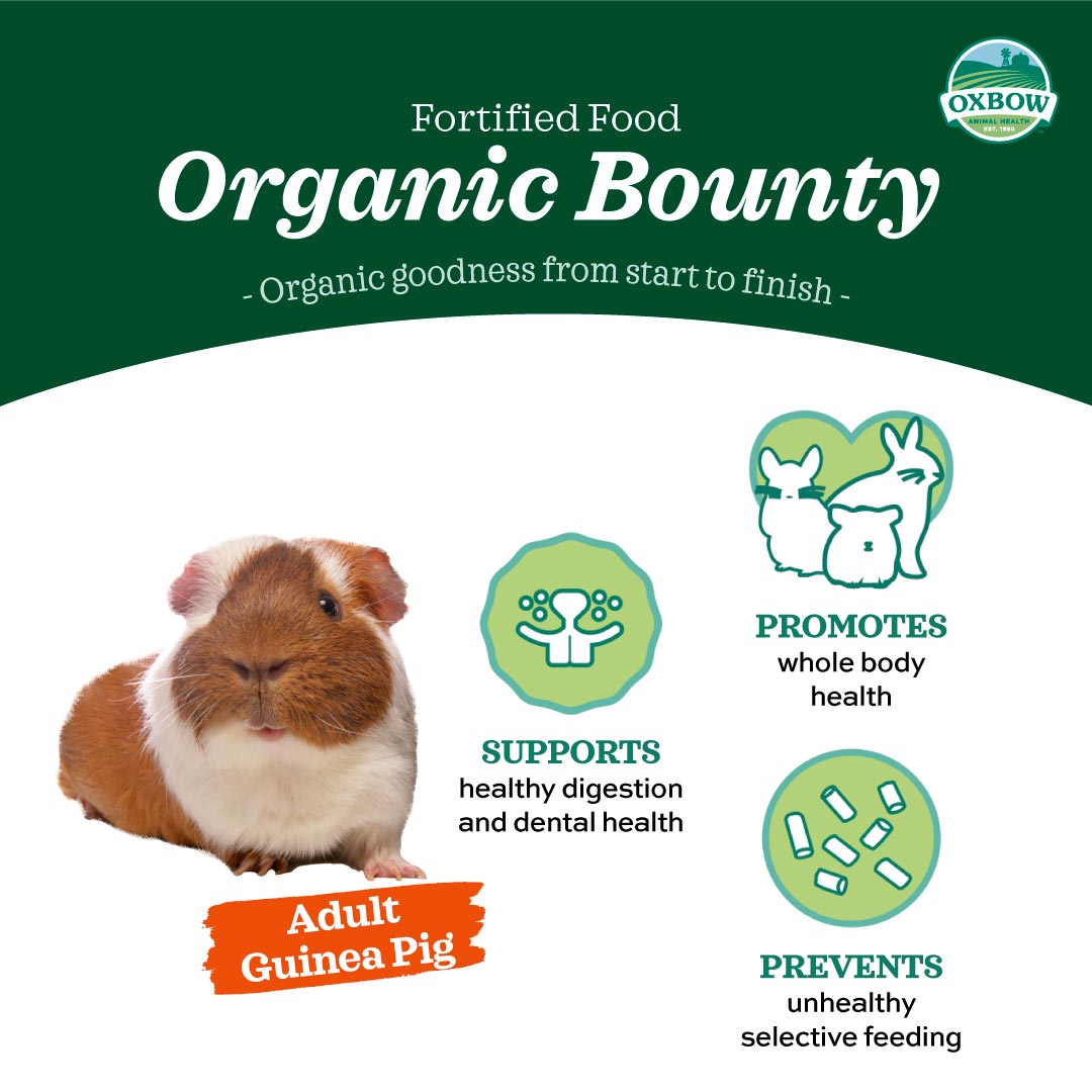 Oxbow Organic Bounty Adult Guinea Pig