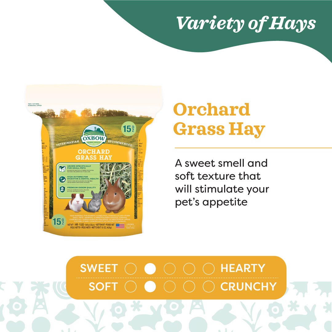Oxbow Orchard Grass