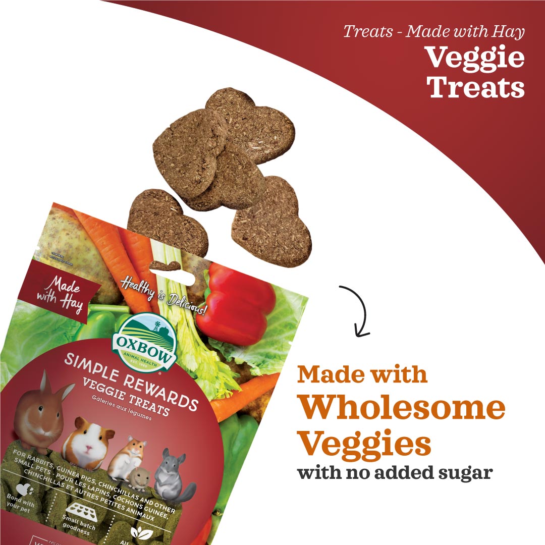 Oxbow Simple Rewards Veggie Treats