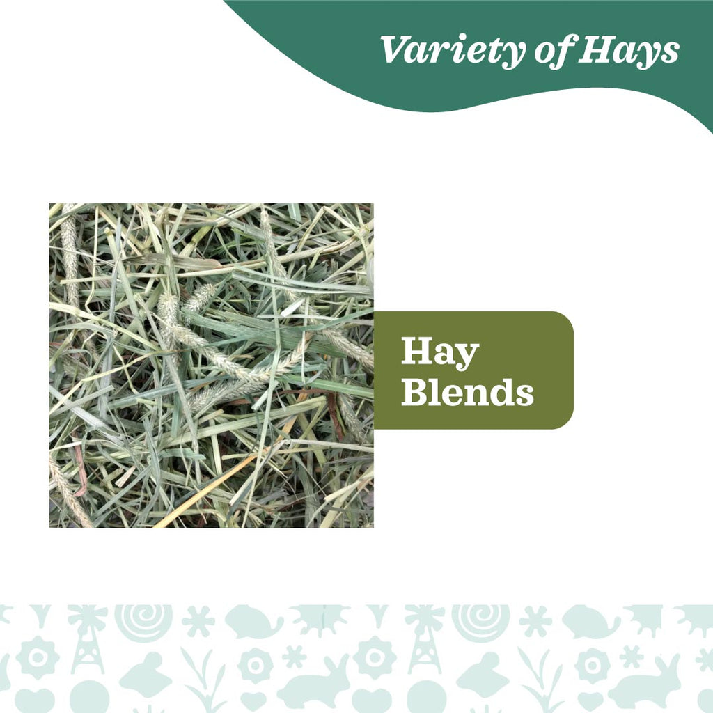 Oxbow Western Timothy & Orchard Grass Hay Blend