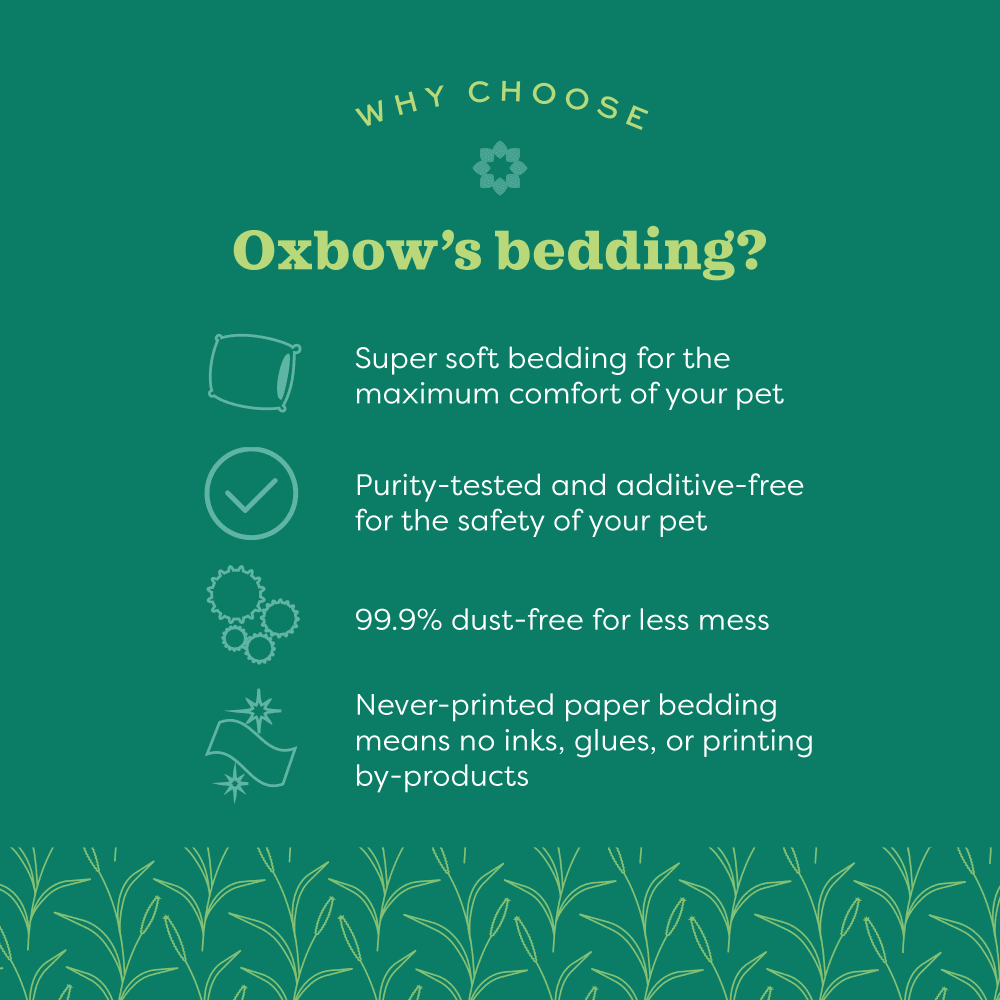 Oxbow Pure Comfort Blend Bedding