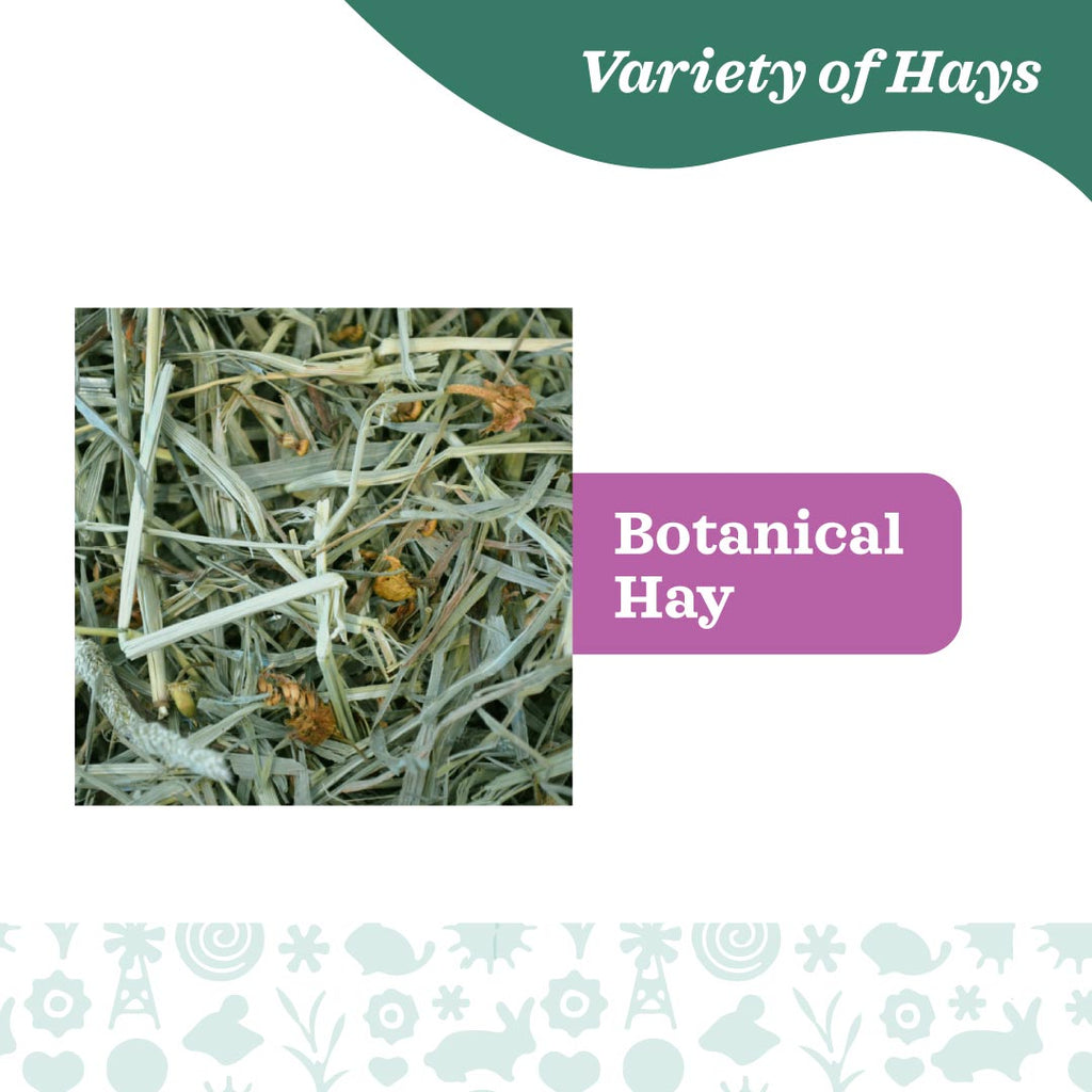 Oxbow Botanical Hay