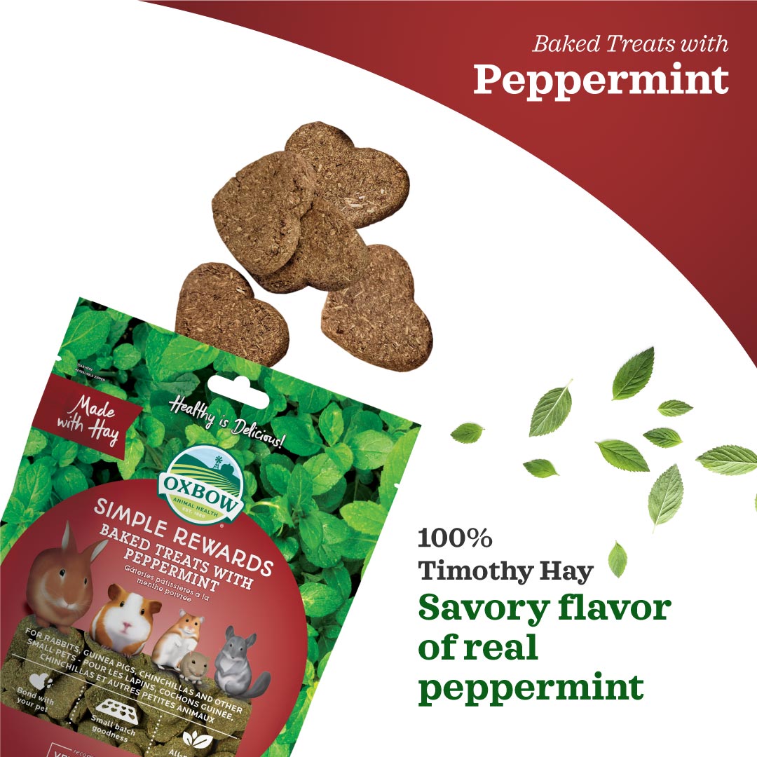 Oxbow Simple Rewards Baked Treats with Peppermint