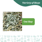 Oxbow Oat Hay