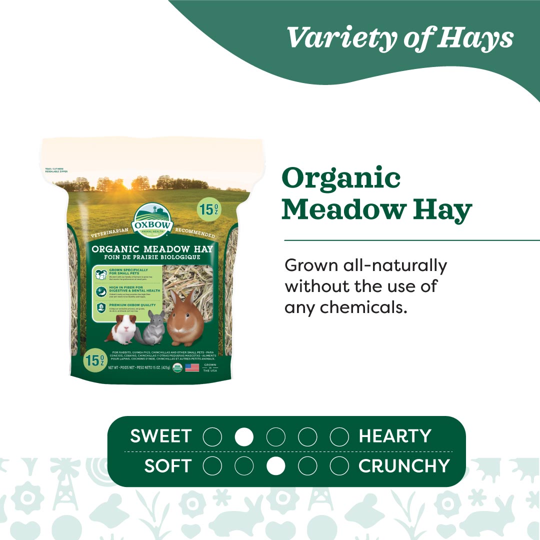 Oxbow Organic Meadow Hay