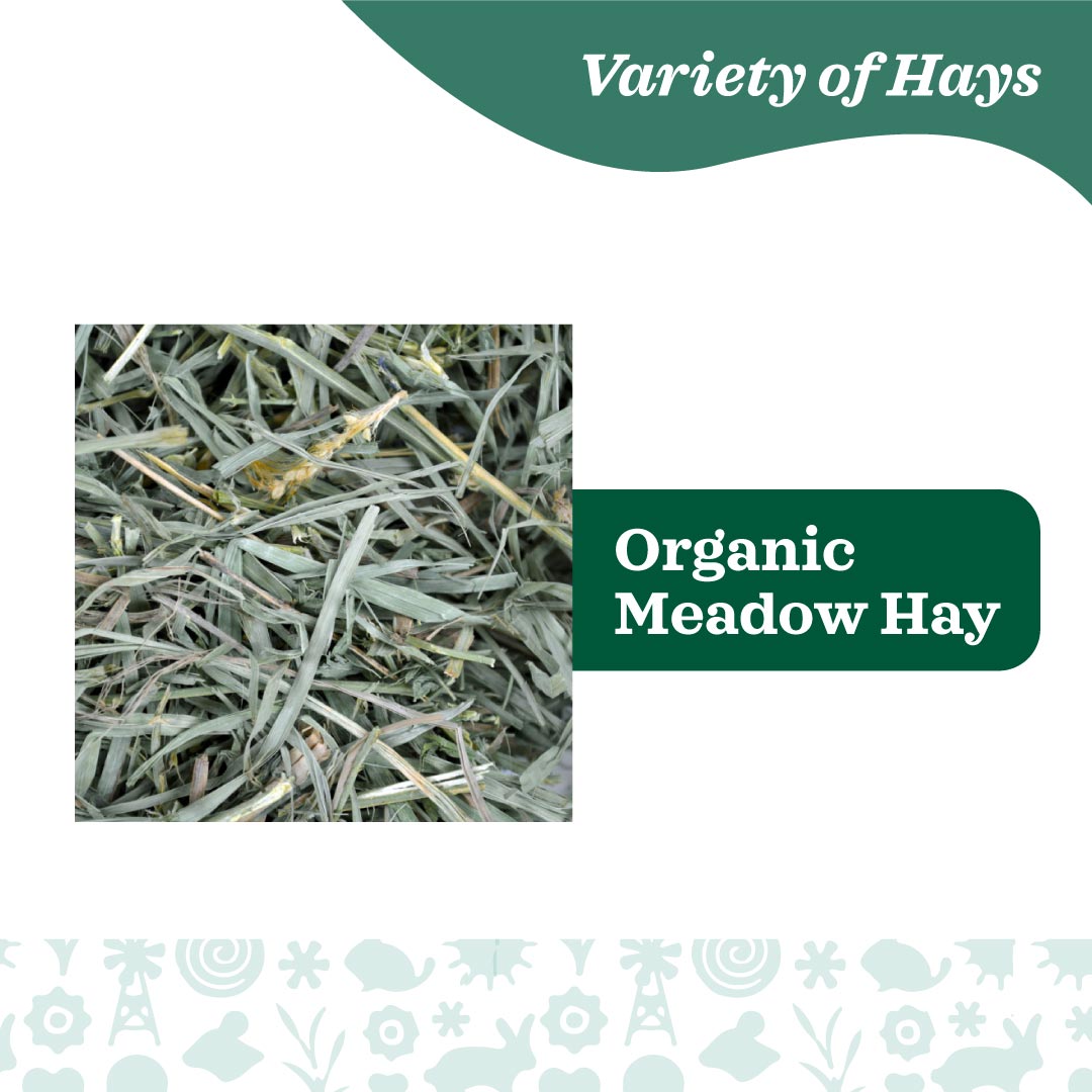 Oxbow Organic Meadow Hay