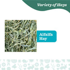 Oxbow Alfalfa Hay