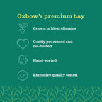Oxbow Western Timothy Hay