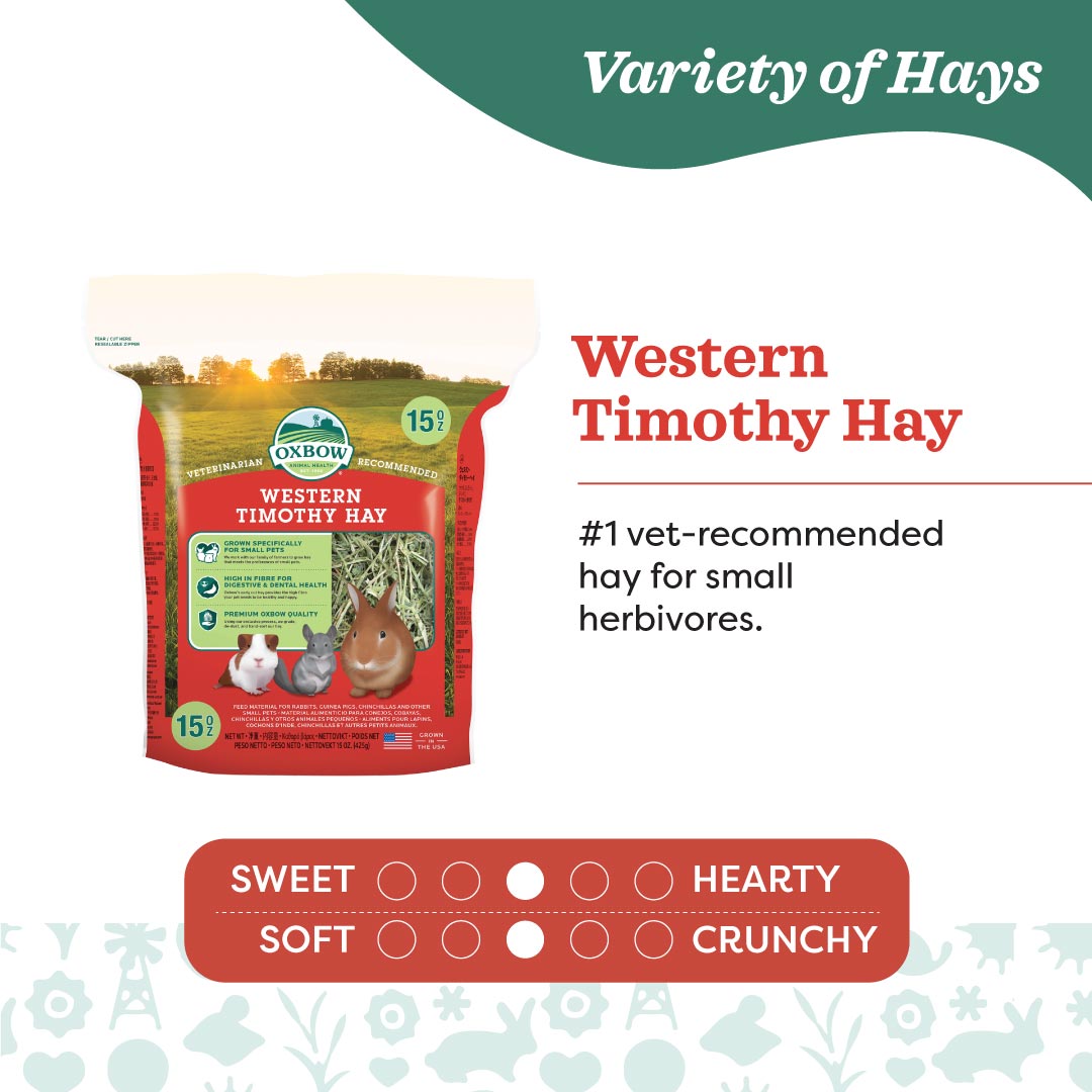 Oxbow Western Timothy Hay