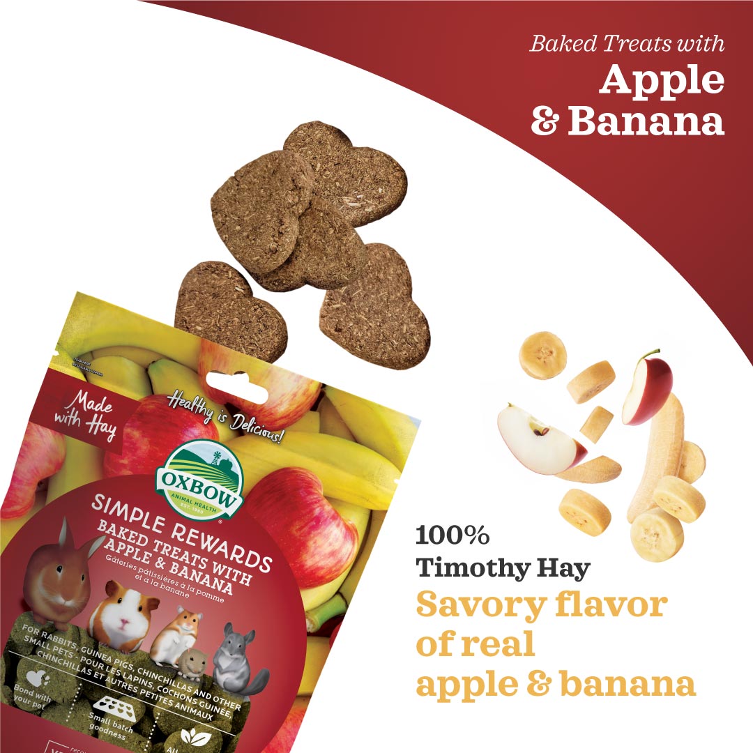 Oxbow Simple Rewards Baked Treats with Apple & Banana
