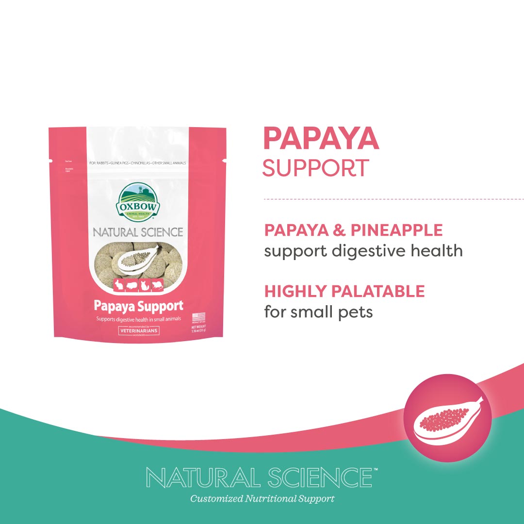 Oxbow Natural Science Papaya Support