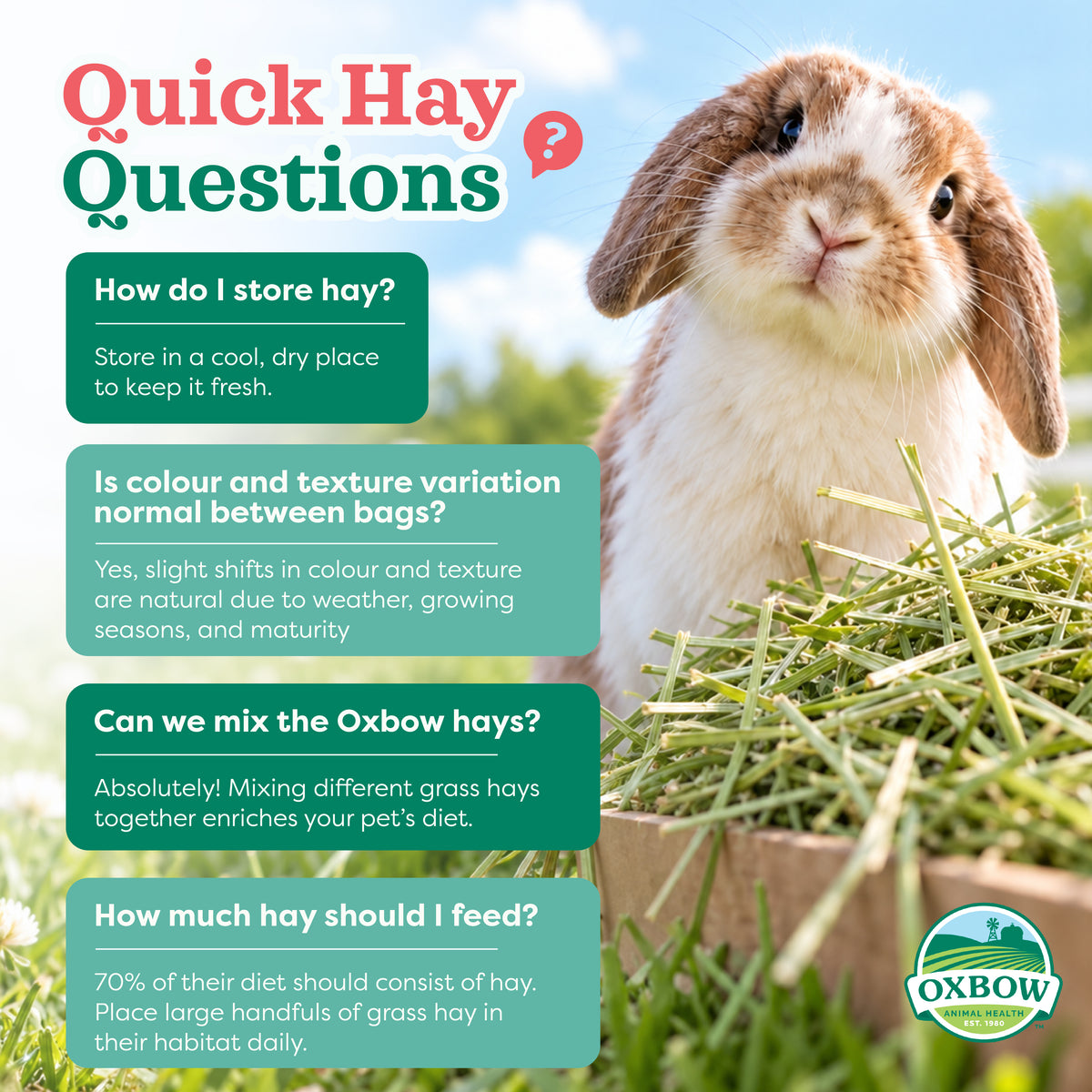 Oxbow Western Timothy Hay