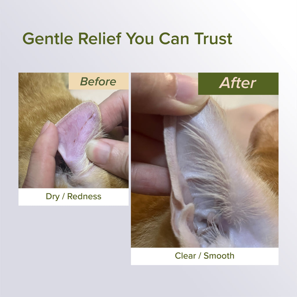 NurturePRO NANO Colloidal Silver Pet Treatments for Wounds
