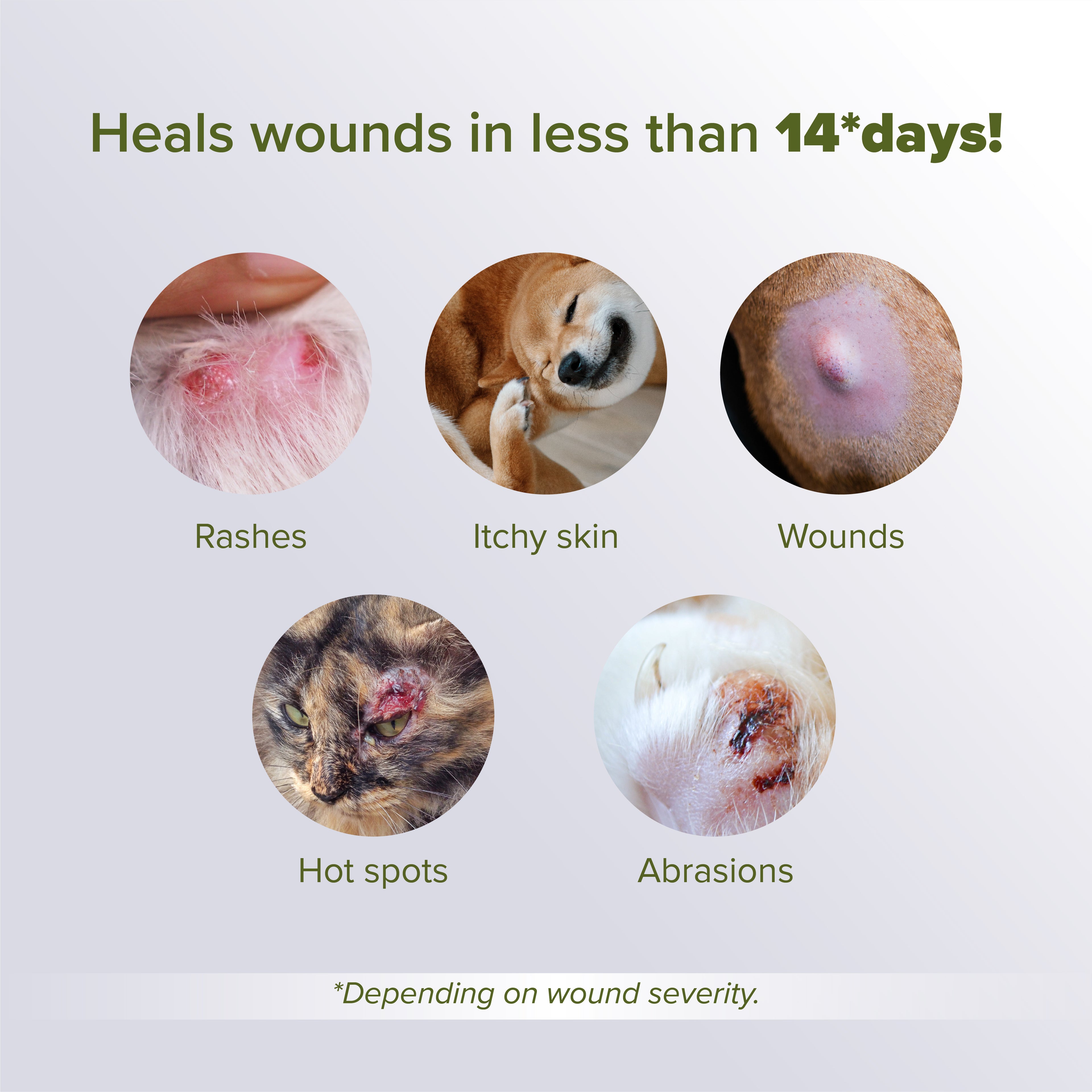 NurturePRO NANO Colloidal Silver Pet Treatments for Wounds