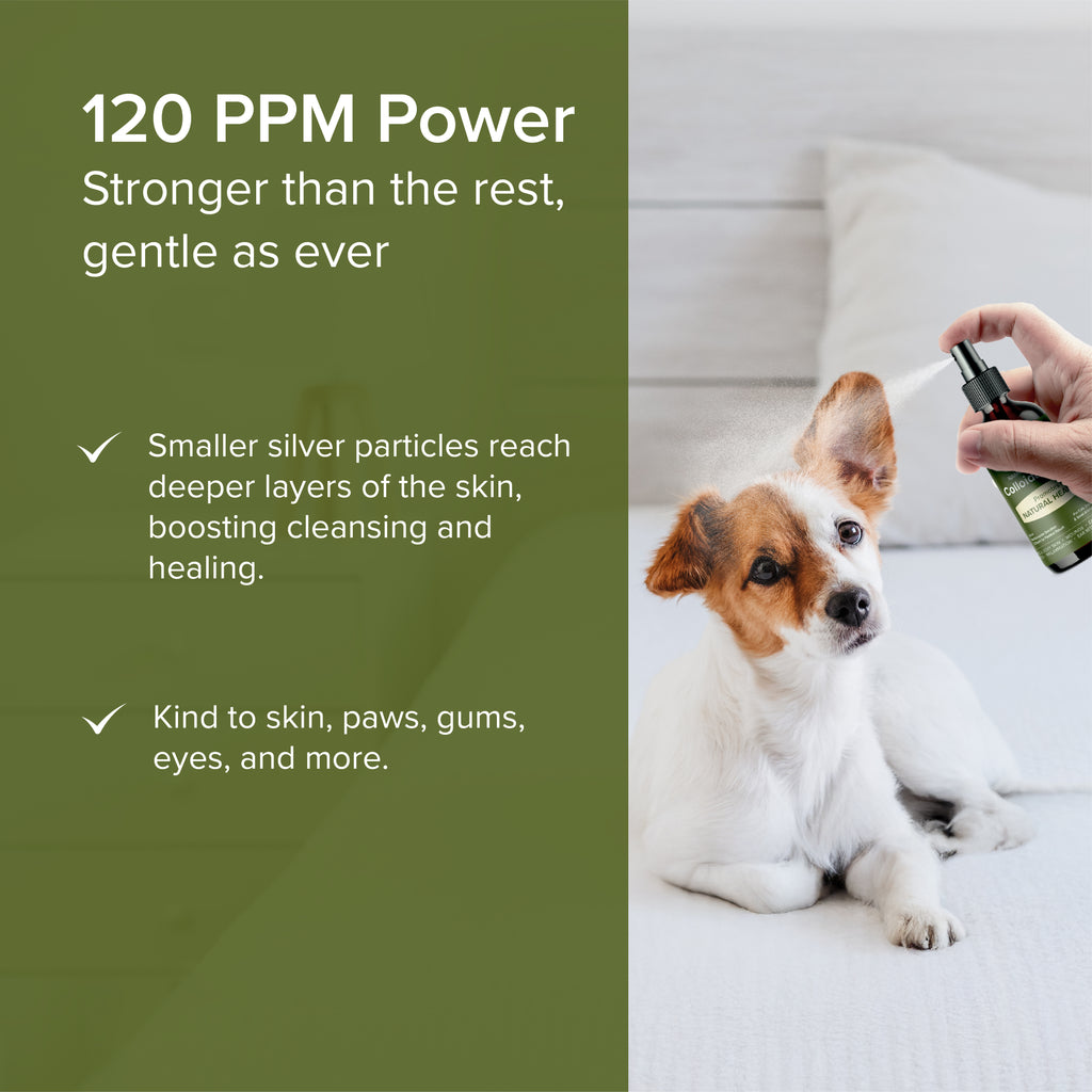 NurturePRO NANO Colloidal Silver Pet Treatments for Wounds