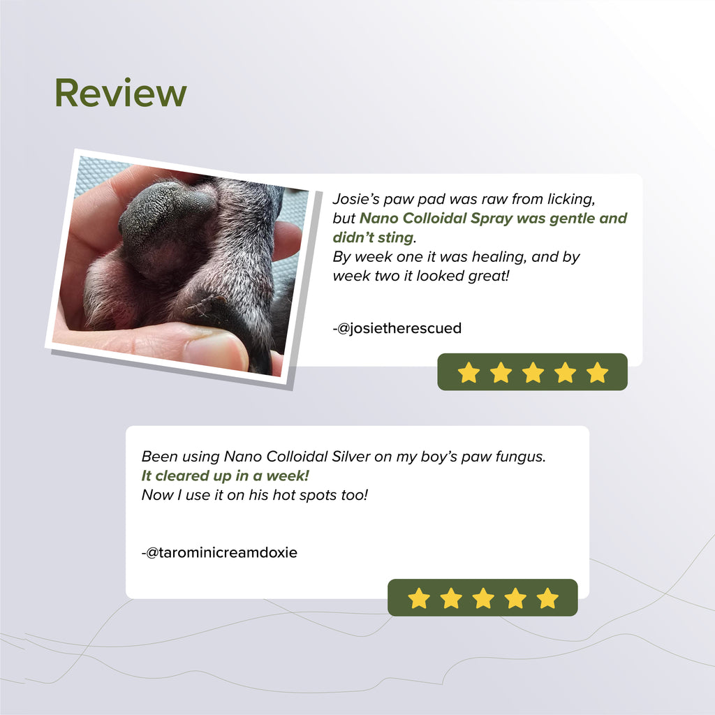 NurturePRO NANO Colloidal Silver Pet Treatments for Wounds