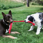 KONG Signature Crunch Rope Double