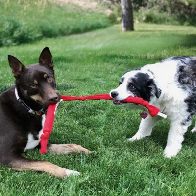 KONG Signature Crunch Rope Double