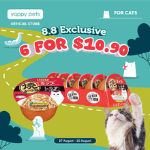 Ciao Grilled Skipjack Cup Cat Wet Food 80g x 6 (Tray)