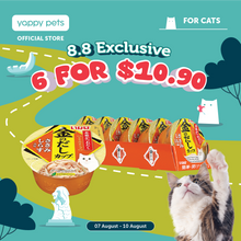 Ciao Kinnodashi Cup Cat Wet Food 70g x 6 (Tray)
