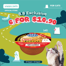 Ciao Soft Jelly Cup Cat Wet Food 65g x 6 (Tray)