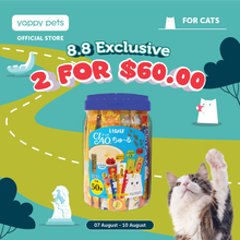 Ciao Churu Festival Tube Cat Treats 14g x 50