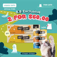 Daily Delight Pure Skipjack Tuna & Chicken Cat Wet Food 80g x 24 (Carton)