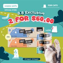 Daily Delight Mousse Cat Wet Food 80g x 24 (Carton)