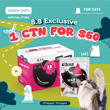 Daily Delight HAPPEA Cat Litter 8L x 6 (Carton)