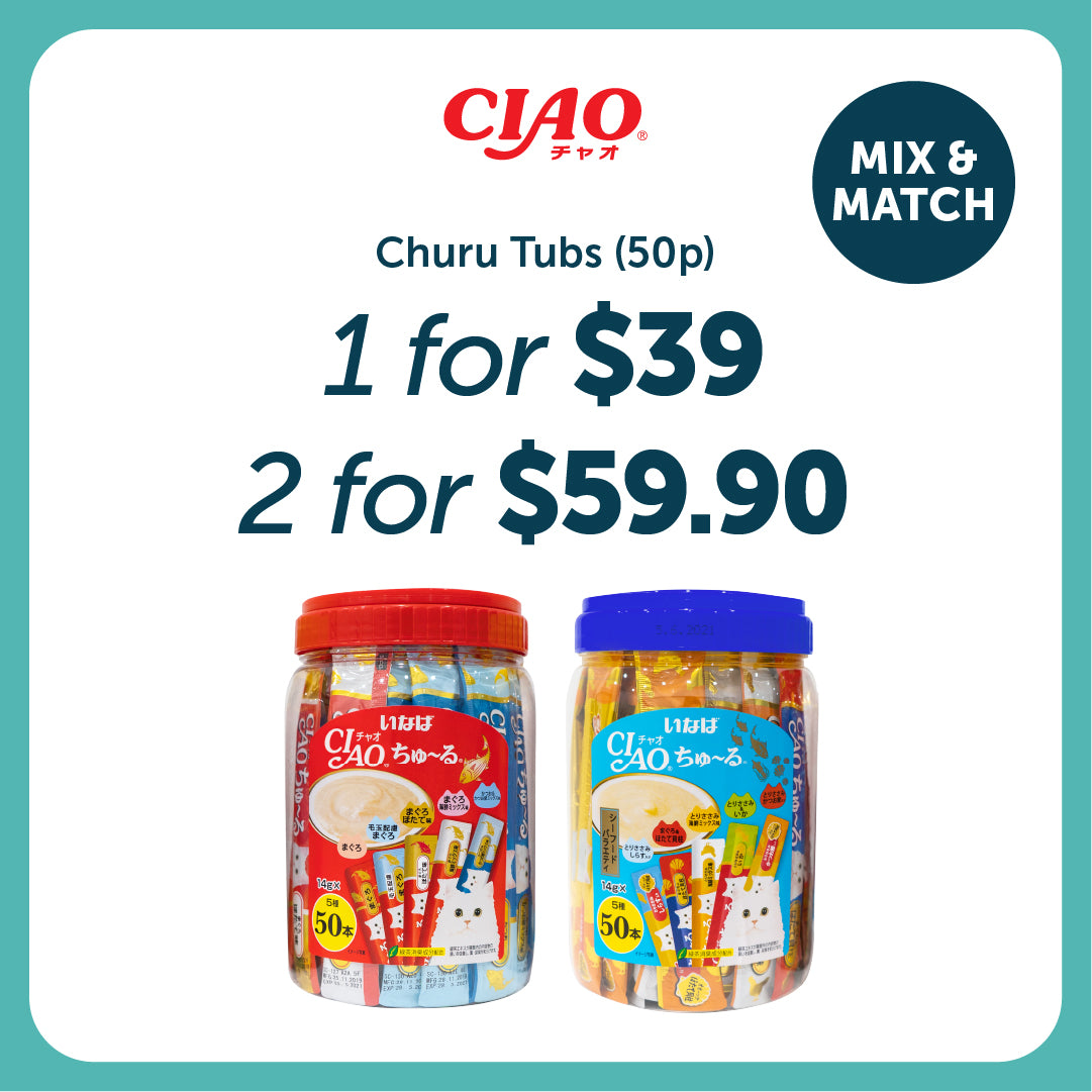 Ciao Churu Festival Tube Cat Treats 14g x 50