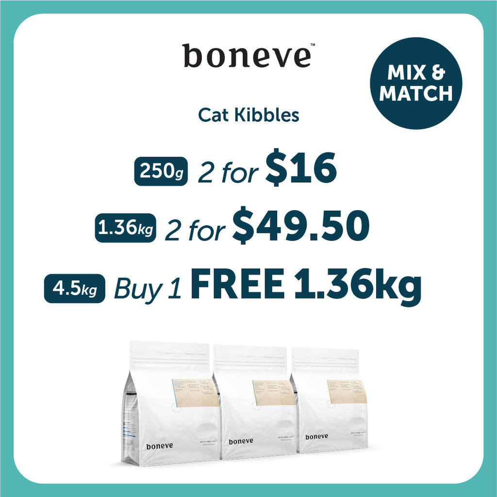 Boneve Grain Free Cat Dry Food