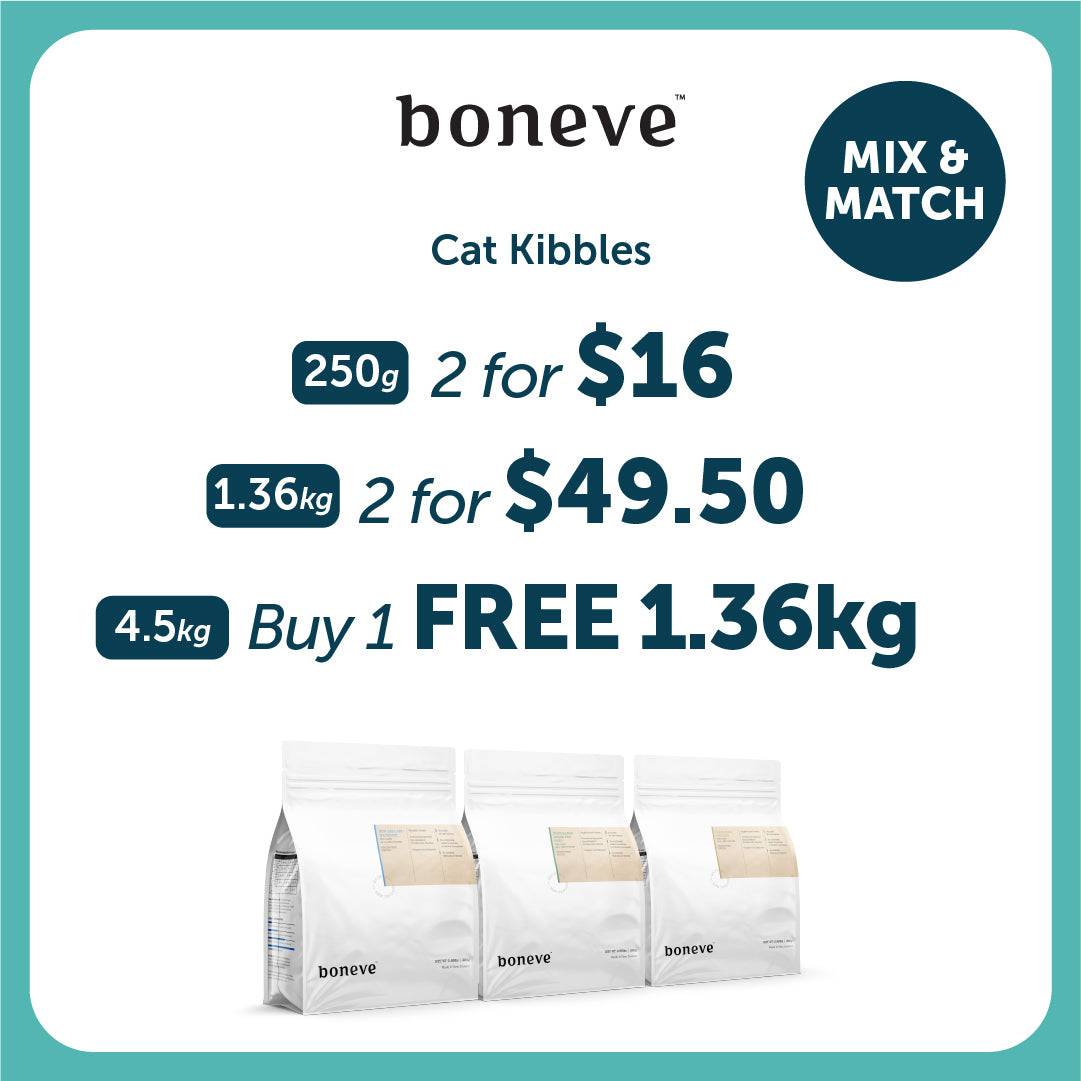 Boneve Grain Free Cat Dry Food
