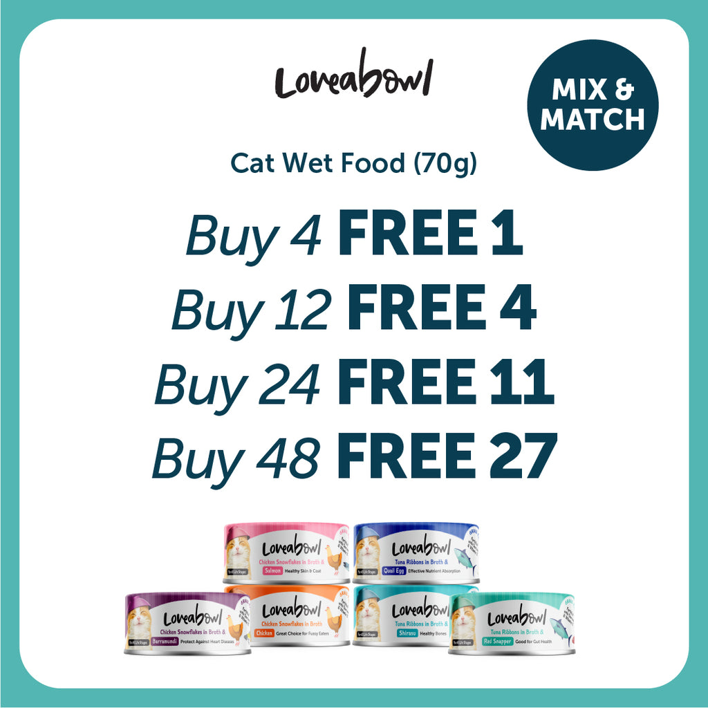 Loveabowl Broth Wet Cat Food