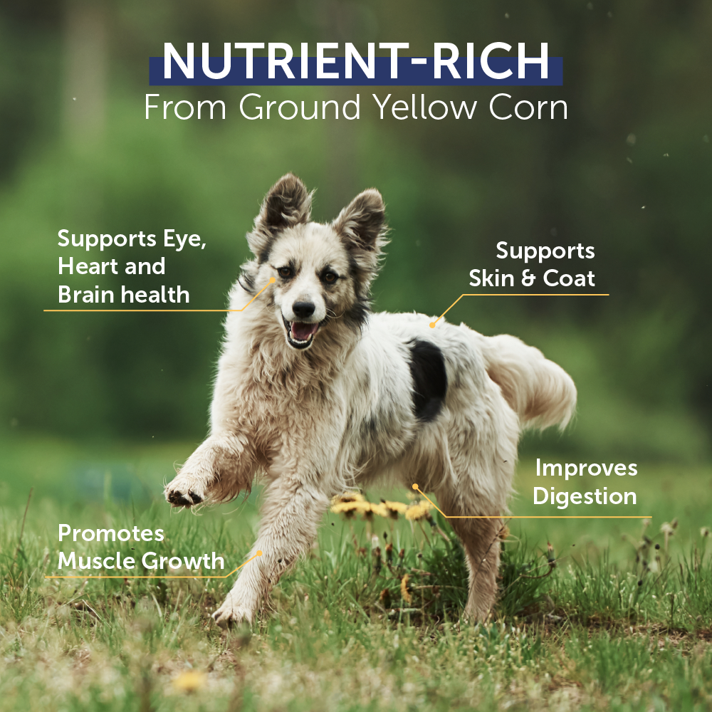 Top Ration Hi Nutrition Premium All Life Stages Dry Dog Food
