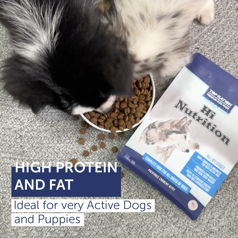 Top Ration Hi Nutrition Premium All Life Stages Dry Dog Food