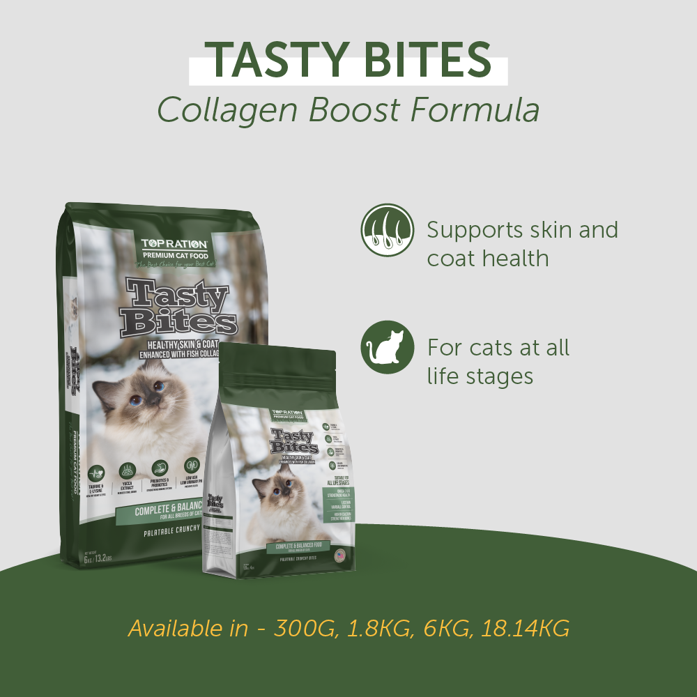 Top Ration Tasty Bites Premium Dry Cat Food