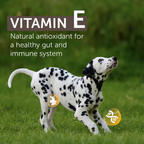 Top Ration Tasty Chunky Premium All Life Stages Dry Dog Food