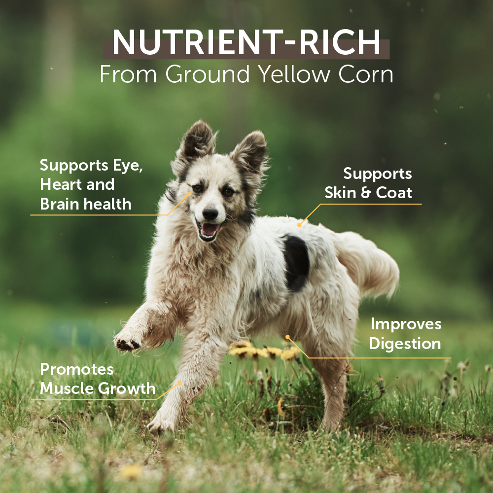 Top Ration Tasty Chunky Premium All Life Stages Dry Dog Food