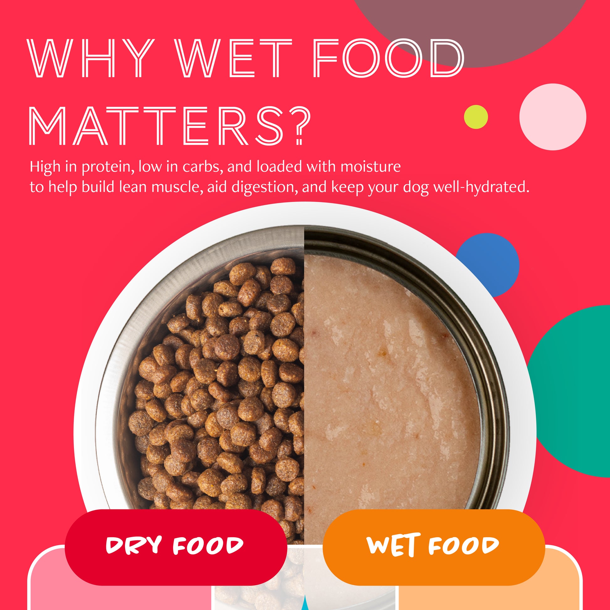 Daily Delight Dog Wet Food 375g is high protein, low in cards and loaded with moisture to help build lean muscle, aid digestion and keep your dog well hydrated. Mix with dry food for extra goodness.