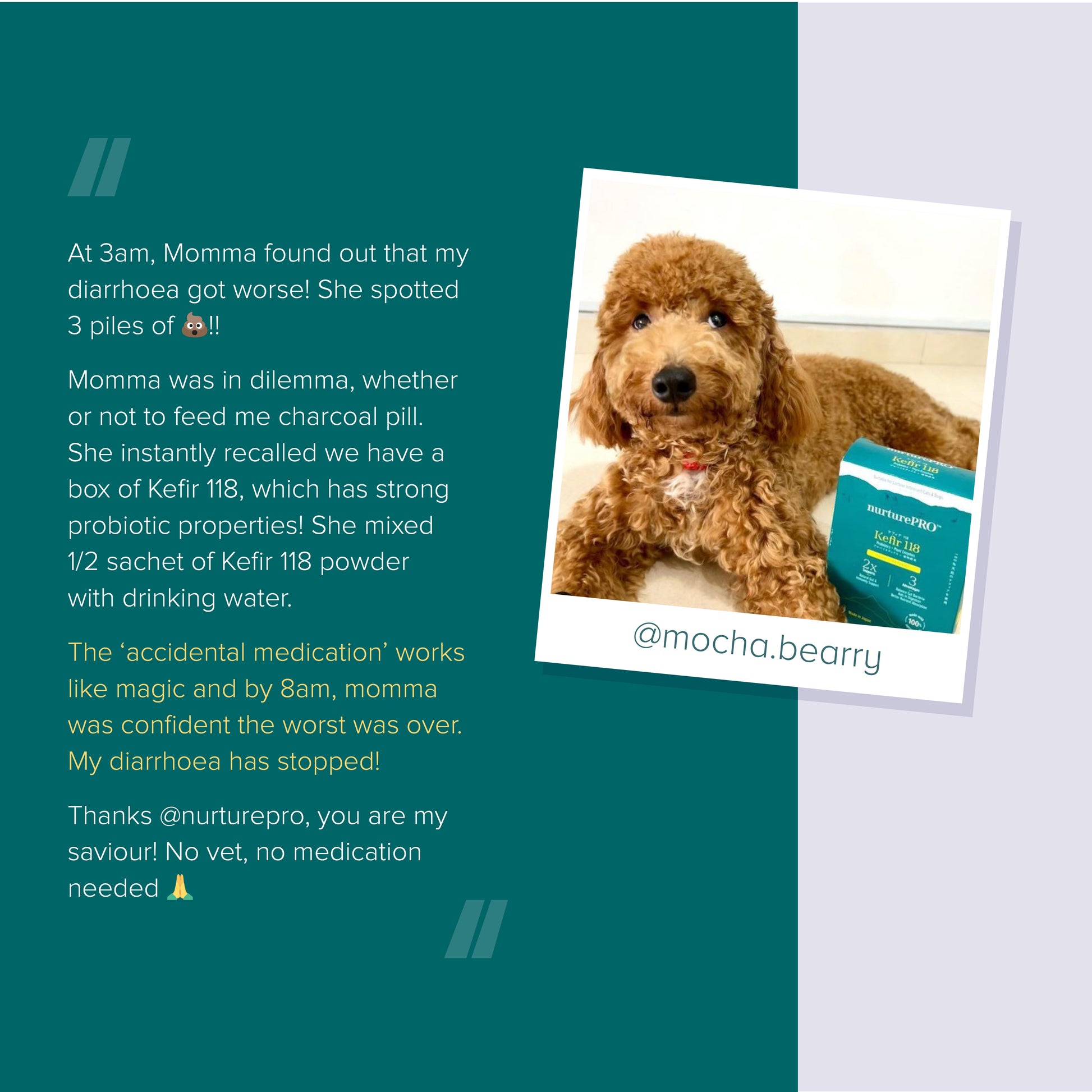nurturepro Kefir 118 testimonial from Mocha Berry which helped with diarrhoea and other digestive issues