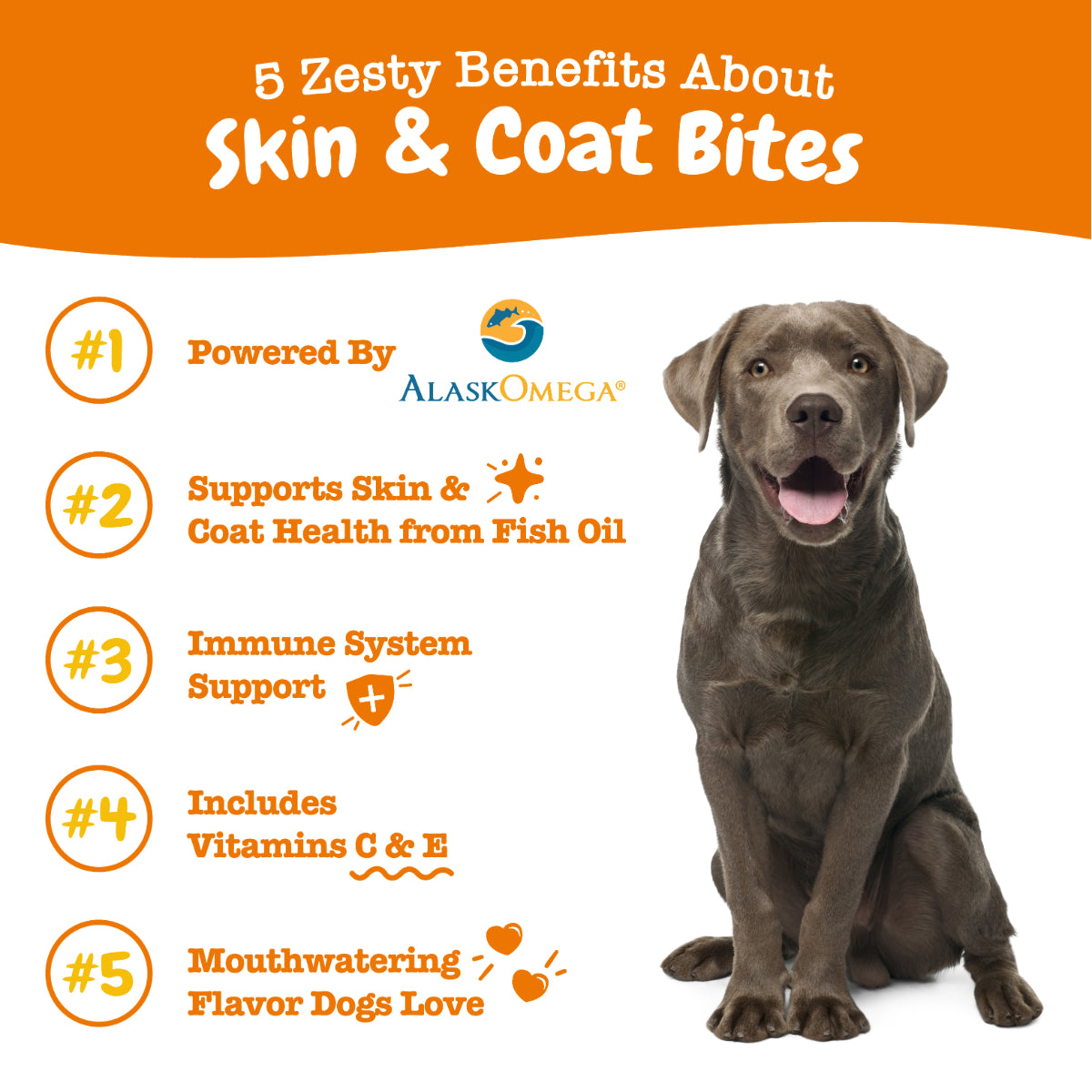 Zesty Paws Omega Bites for Dogs