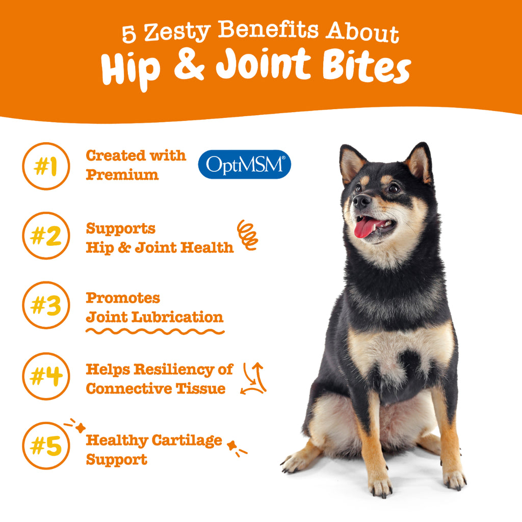 Zesty Paws Hip & Joint Bites for Dogs
