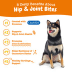 Zesty Paws Hip & Joint Bites for Dogs