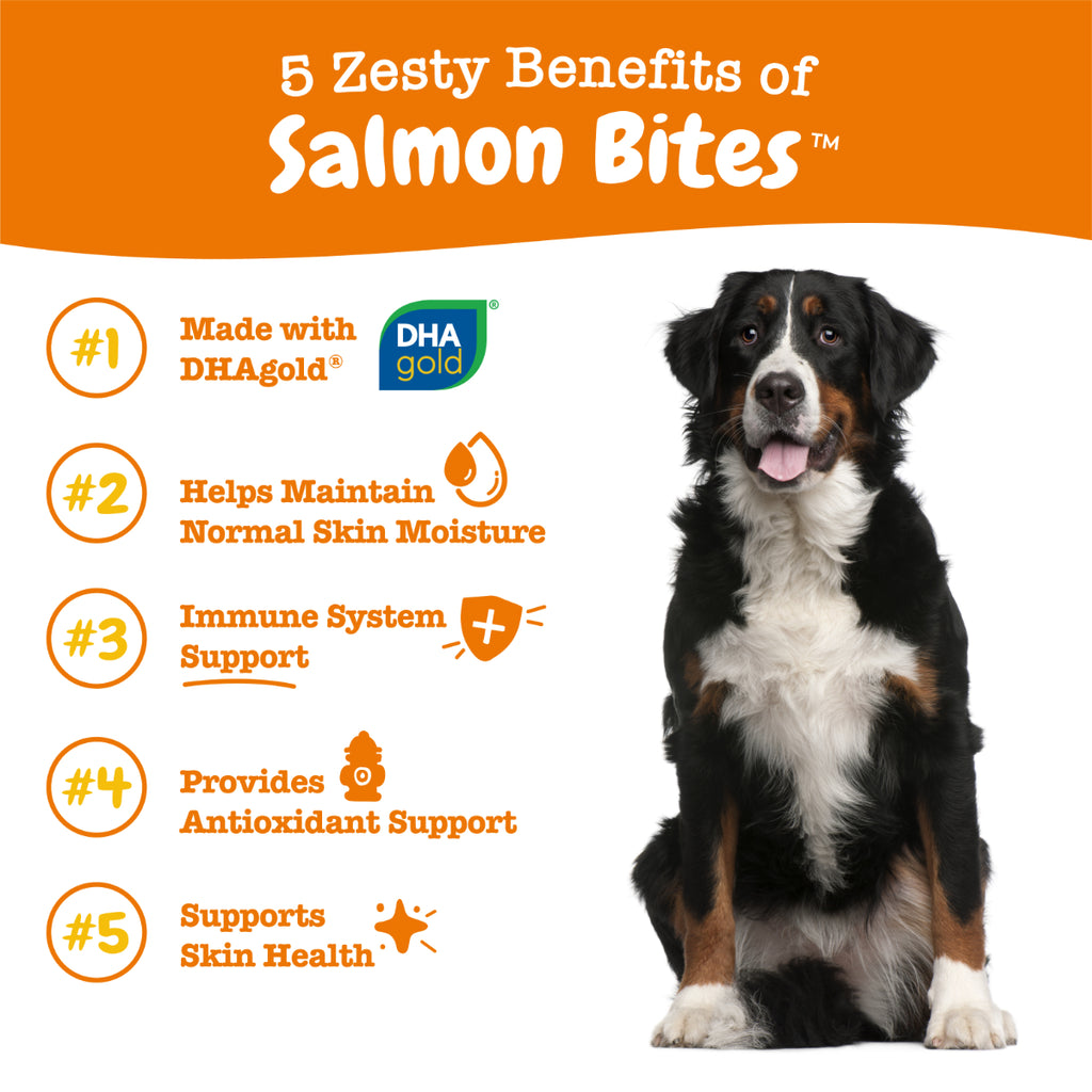 Zesty Paws Salmon Bites for Dogs