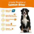 Zesty Paws Salmon Bites for Dogs
