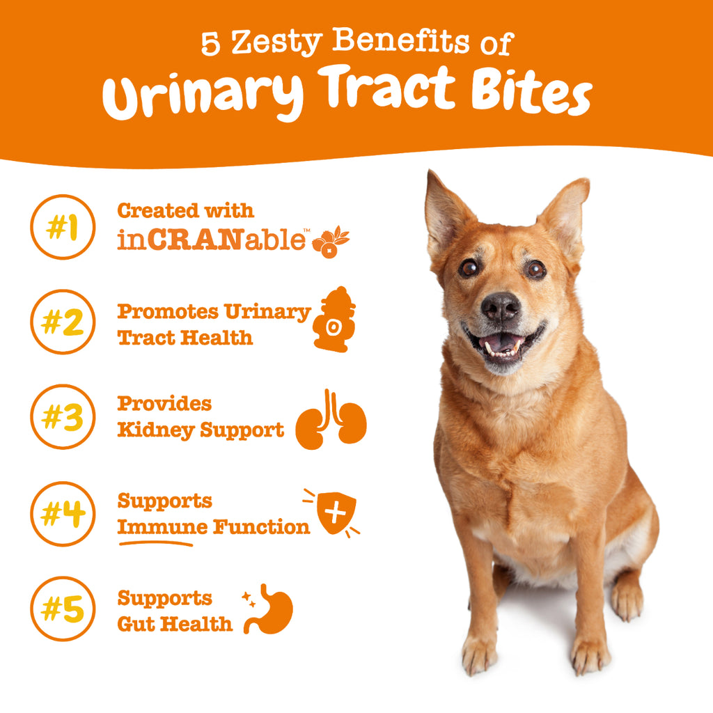 Zesty Paws Cranberry Bites for Dogs