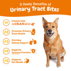 Zesty Paws Cranberry Bites for Dogs